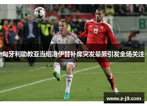 匈牙利助教亚当绍洛伊替补席突发晕厥引发全场关注 匈牙利助教亚当绍洛伊替补席突发晕厥引发全场关注